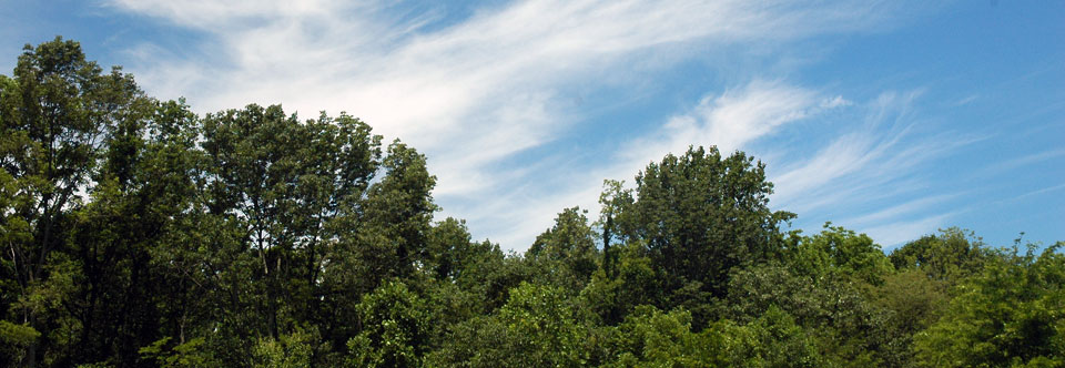 Conferences & Retreats